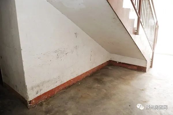 荆善安居南区开展环境卫生综合整治集中活动(图22)