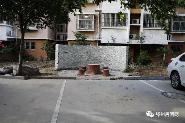 荆善安居南区开展环境卫生综合整治集中活动(图20)