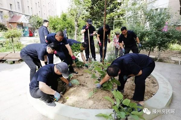 荆善安居南区开展环境卫生综合整治集中活动(图16)