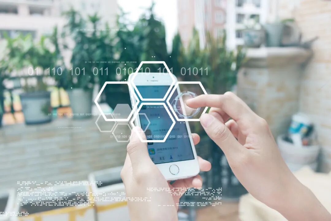 对外汉语就业真实前景_物流管理就业方向及前景_专科软件技术就业前景