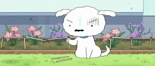 【冷兔趣闻】如果狗狗也玩社交软件