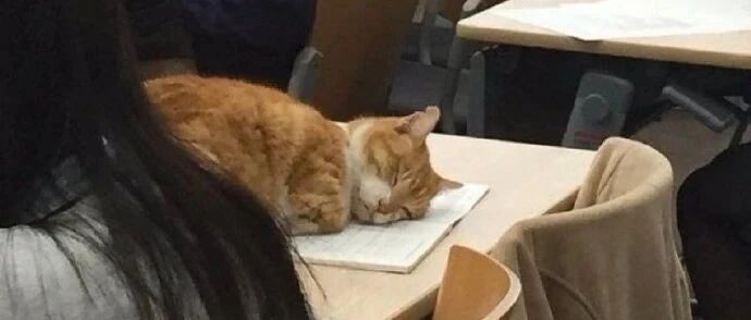 【冷兔•槽】每日一冷NO.2726