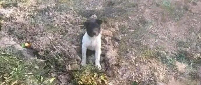 【冷兔•槽】每日一冷NO.3193