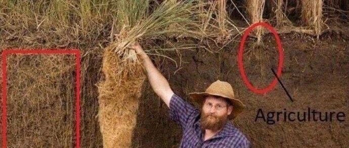 [冷兔趣闻]反 向 进 化