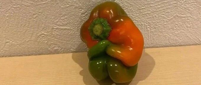 【冷兔•槽】每日一冷NO.3181