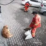狗狗读懂了环卫工人的手势
