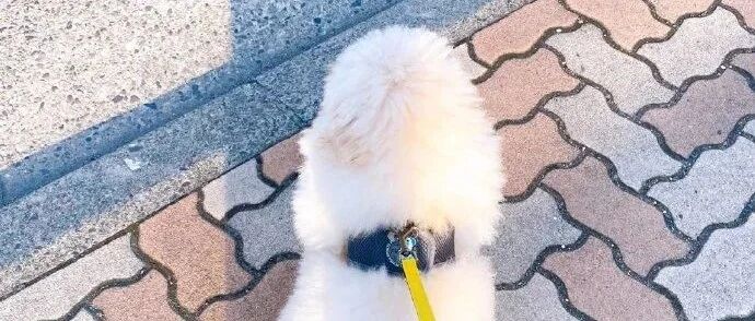 【冷兔•槽】每日一冷NO.3271