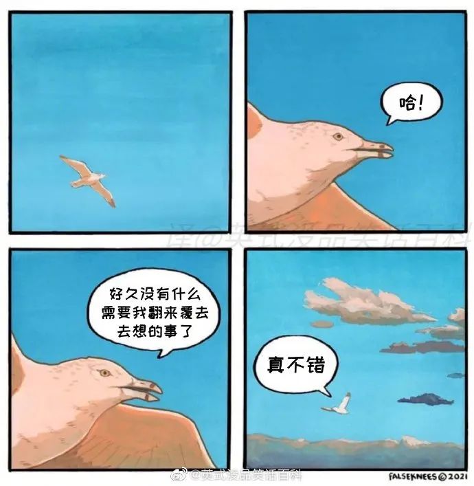 【冷兔•槽】每日一冷NO.3332-微信头条网 【冷兔•槽】每日一冷NO.3332