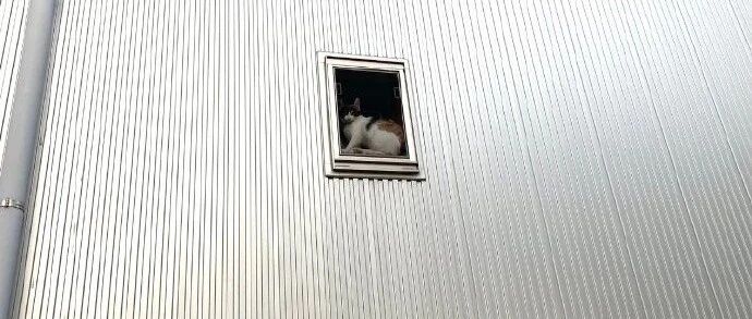 【冷兔•槽】每日一冷NO.2661