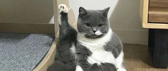 【冷兔•槽】每日一冷NO.2703