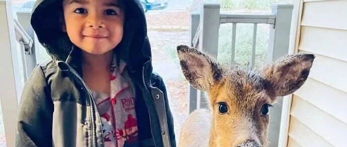 【冷兔•槽】每日一冷NO.2873