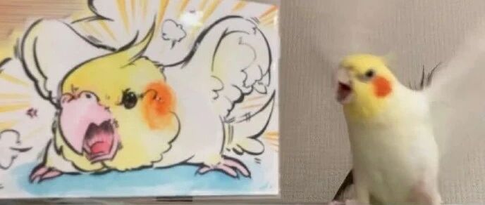 【冷兔•槽】每日一冷NO.2765