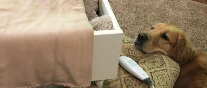 【冷兔•槽】每日一冷NO.2838