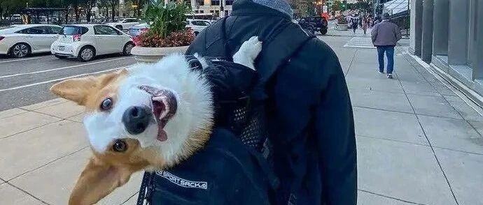 【冷兔•槽】每日一冷NO.3197