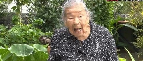 【冷兔•槽】每日一冷NO.2840