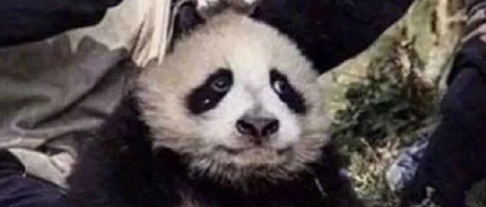 【冷兔•槽】每日一冷NO.2763