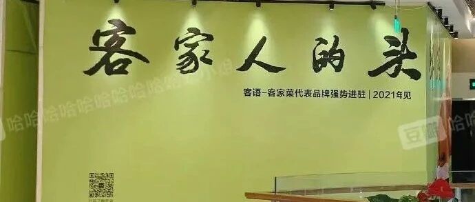 【冷兔•槽】每日一冷NO.3247