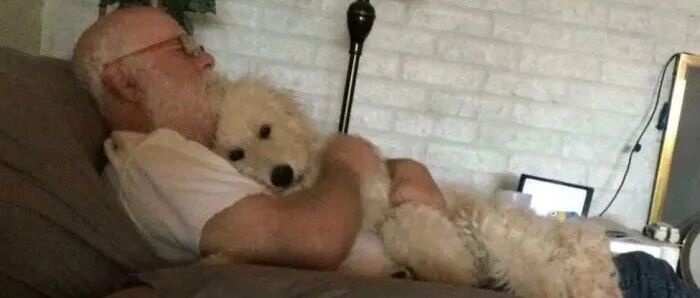 【冷兔趣闻】有什么坏情绪是小动物不能解决的呢~