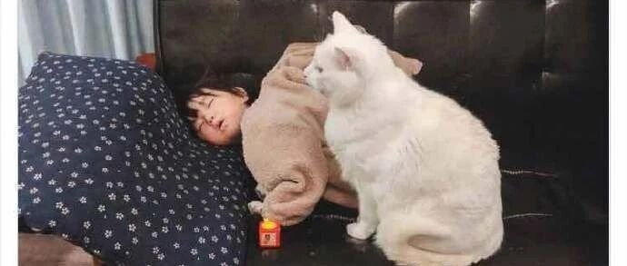 【冷兔•槽】每日一冷NO.2849