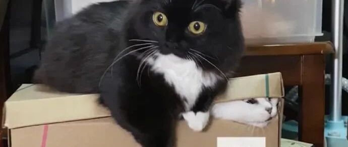 【冷兔•槽】每日一冷NO.3166