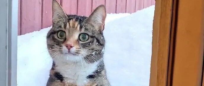 【冷兔•槽】每日一冷NO.3250