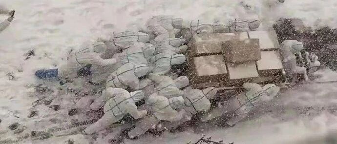 【冷兔•槽】每日一冷NO.2850