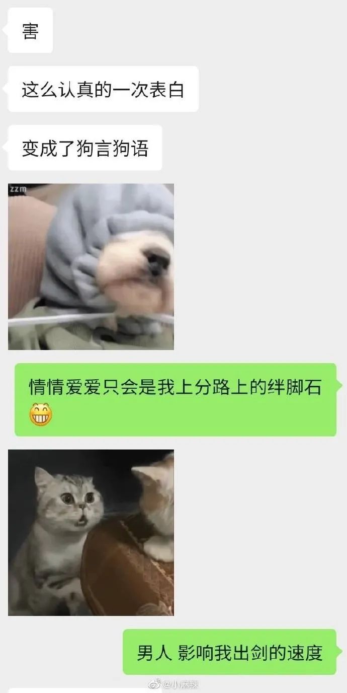 【冷兔趣闻】直女沟通艺术大赏