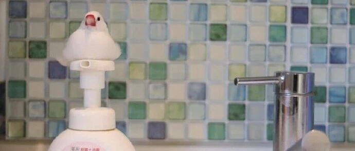 【冷兔•槽】每日一冷NO.2848