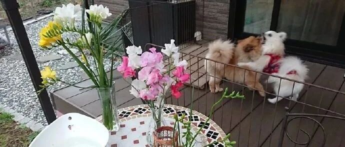 【冷兔•槽】每日一冷NO.3285