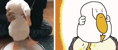 【冷兔趣闻】法国艺术家的魔改小动画，每一张都是快乐源泉！