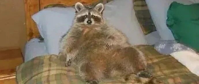 商家承诺假一赔三，大爷下单后收到4件假货 | 冷兔小报 No.701