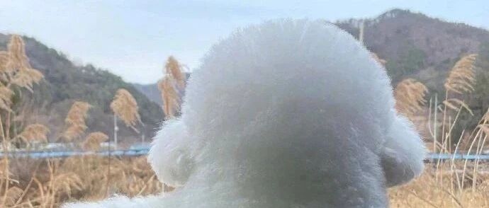 【冷兔•槽】每日一冷NO.2879