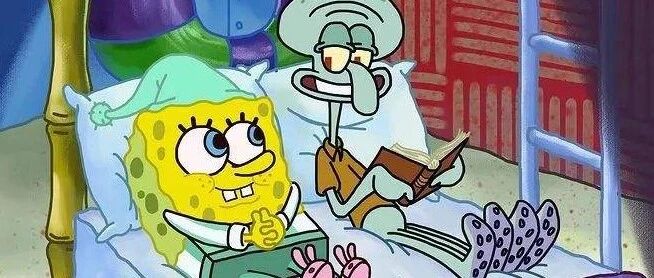 【冷兔趣闻】谁能拒绝有趣又治愈的朋友呢