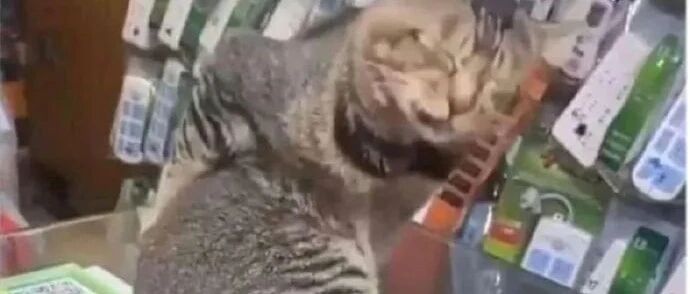 【冷兔•槽】每日一冷NO.3214