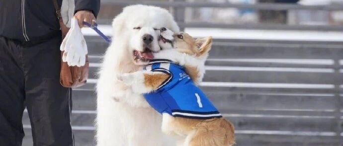 【冷兔•槽】每日一冷NO.2889