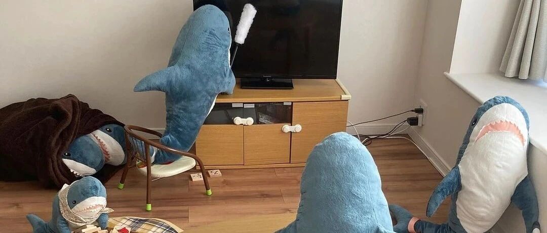 【冷兔趣闻】鲨鲨的假期生活