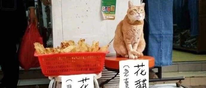 【冷兔•槽】每日一冷NO.2779