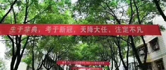 【冷兔•槽】每日一冷NO.2669