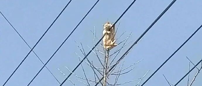 【冷兔•槽】每日一冷NO.3200