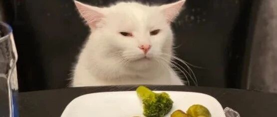 【冷兔•槽】每日一冷NO.3208