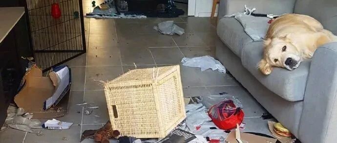 【冷兔趣闻】“我乖乖的什么也没干，家里突然就爆炸了！”