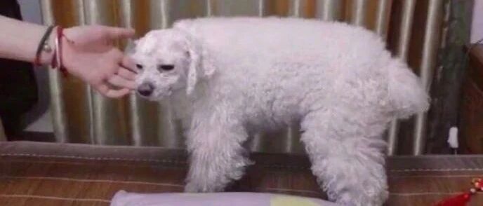 【冷兔•槽】每日一冷NO.3104