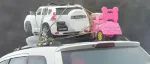 【冷兔•槽】每日一冷NO.3650