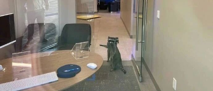 【冷兔•槽】每日一冷NO.2859