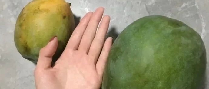 【冷兔•槽】每日一冷NO.3120