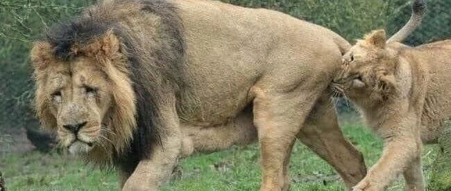 【冷兔•槽】每日一冷NO.2687