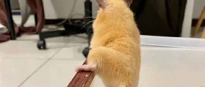 【冷兔•槽】每日一冷NO.3143