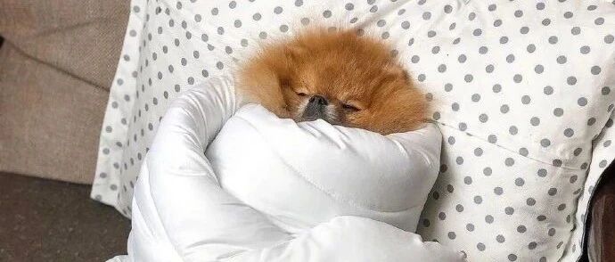 【冷兔趣闻】降温后的我