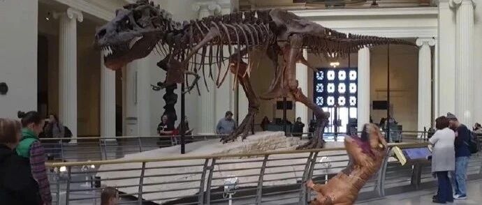 【冷兔•槽】每日一冷NO.2865