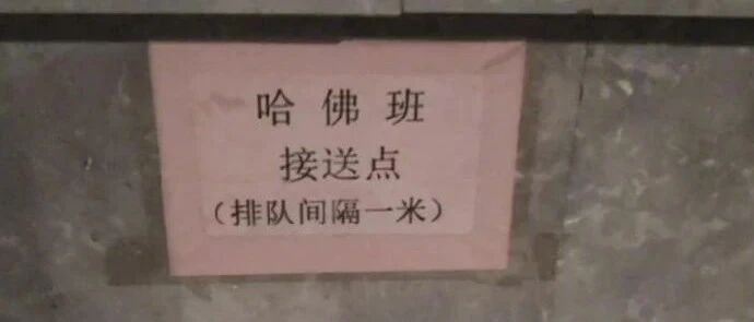 【冷兔•槽】每日一冷NO.2860